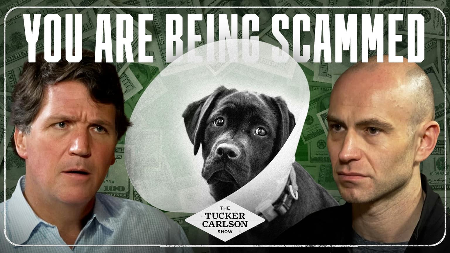 The Private Equity Veterinary Scam Making You Poorer and Killing Your Pets artwork