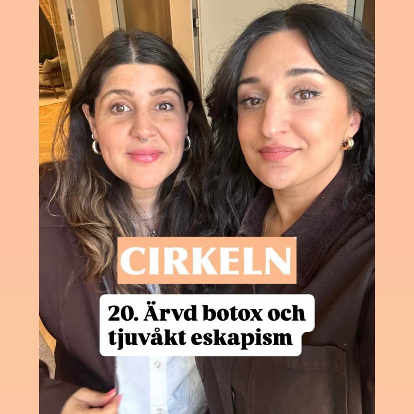 20. Ärvd botox och tjuvåkt eskapism artwork