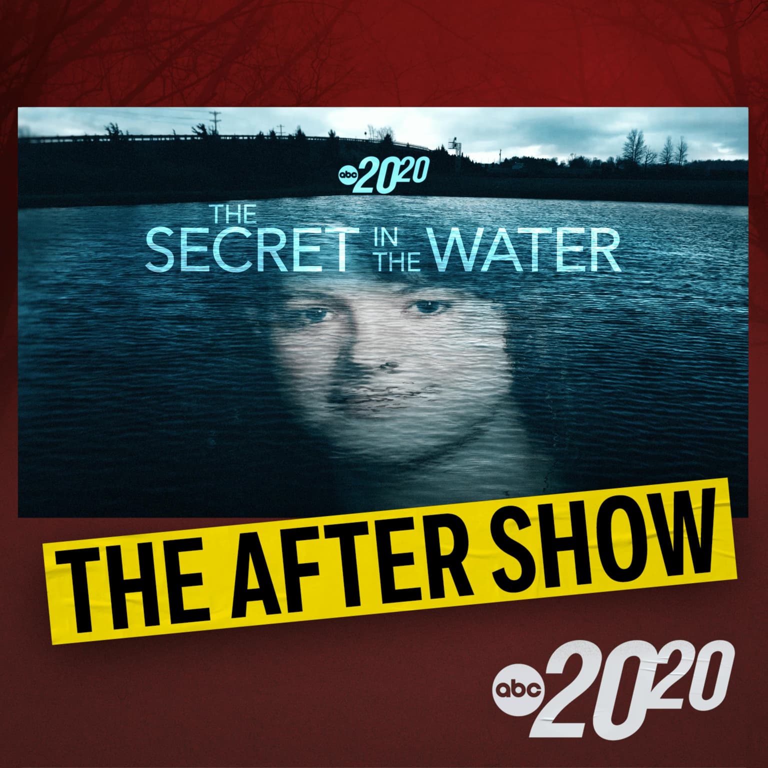 The After Show: The Secret in the Water artwork