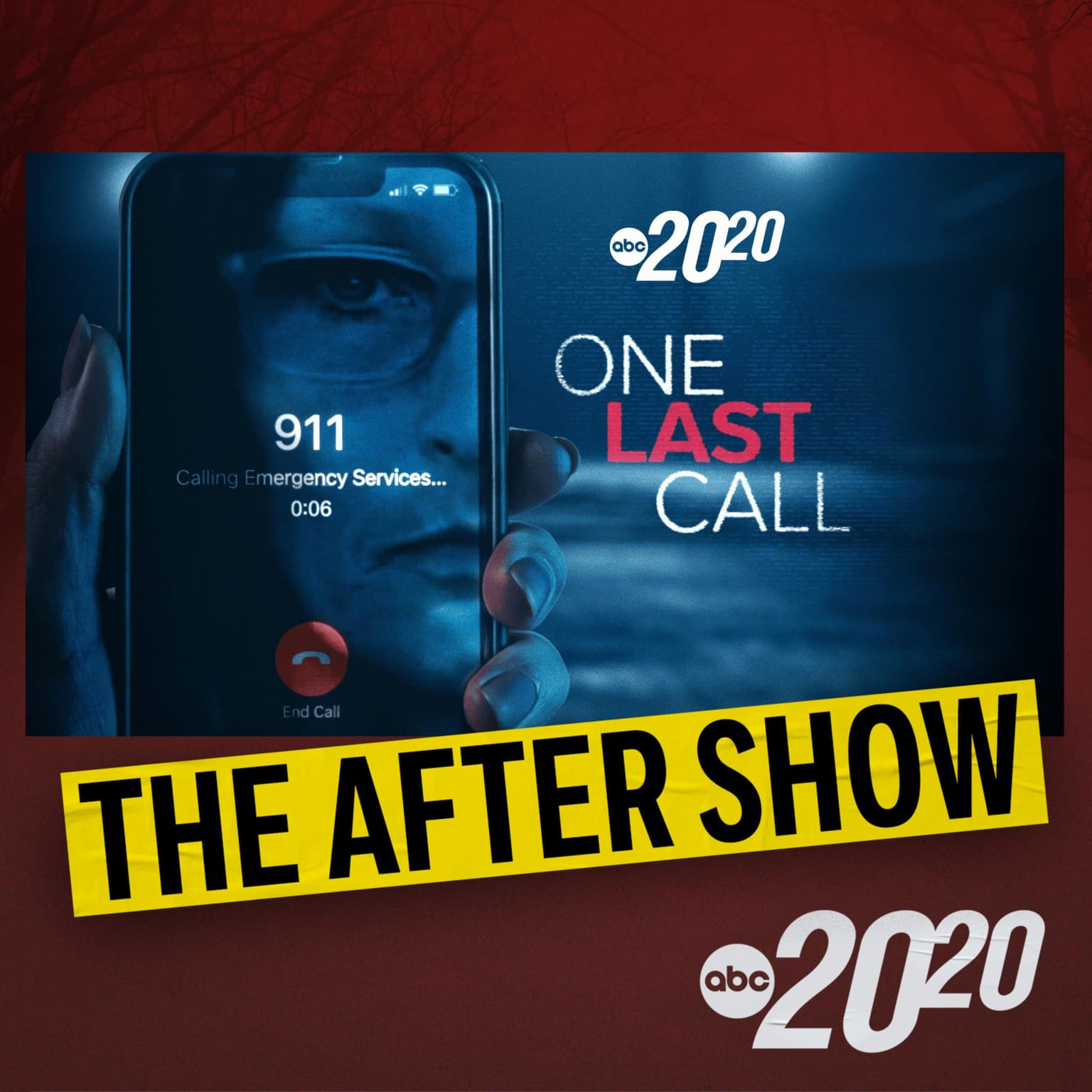 The After Show: One Last Call artwork