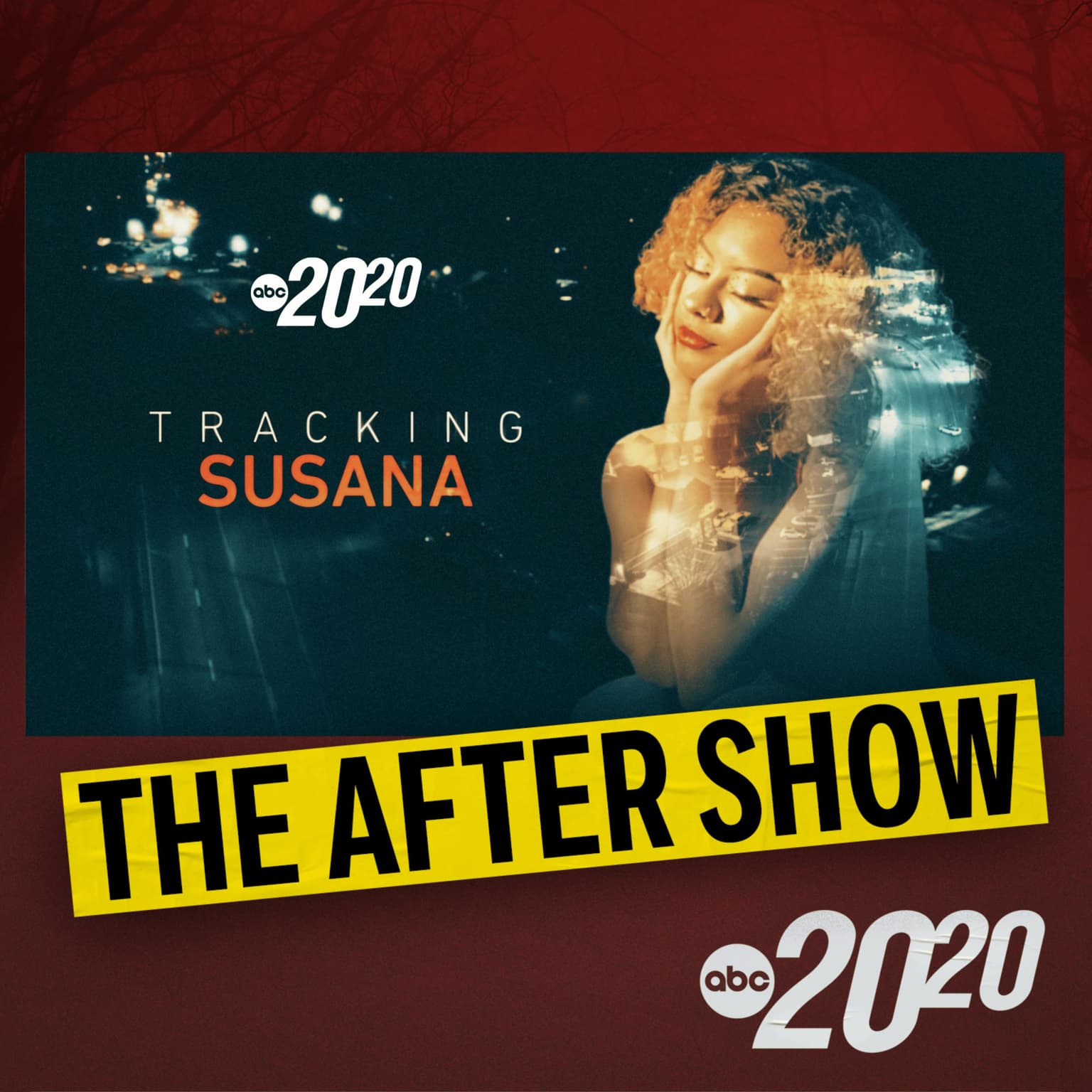 The After Show: Tracking Susana artwork
