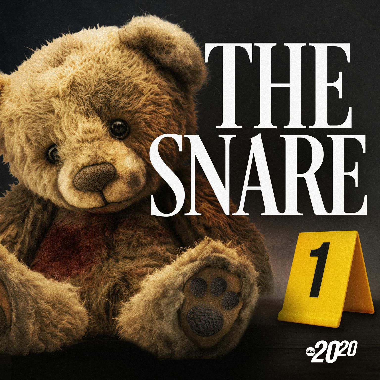 Coming Soon: 'The Snare' artwork