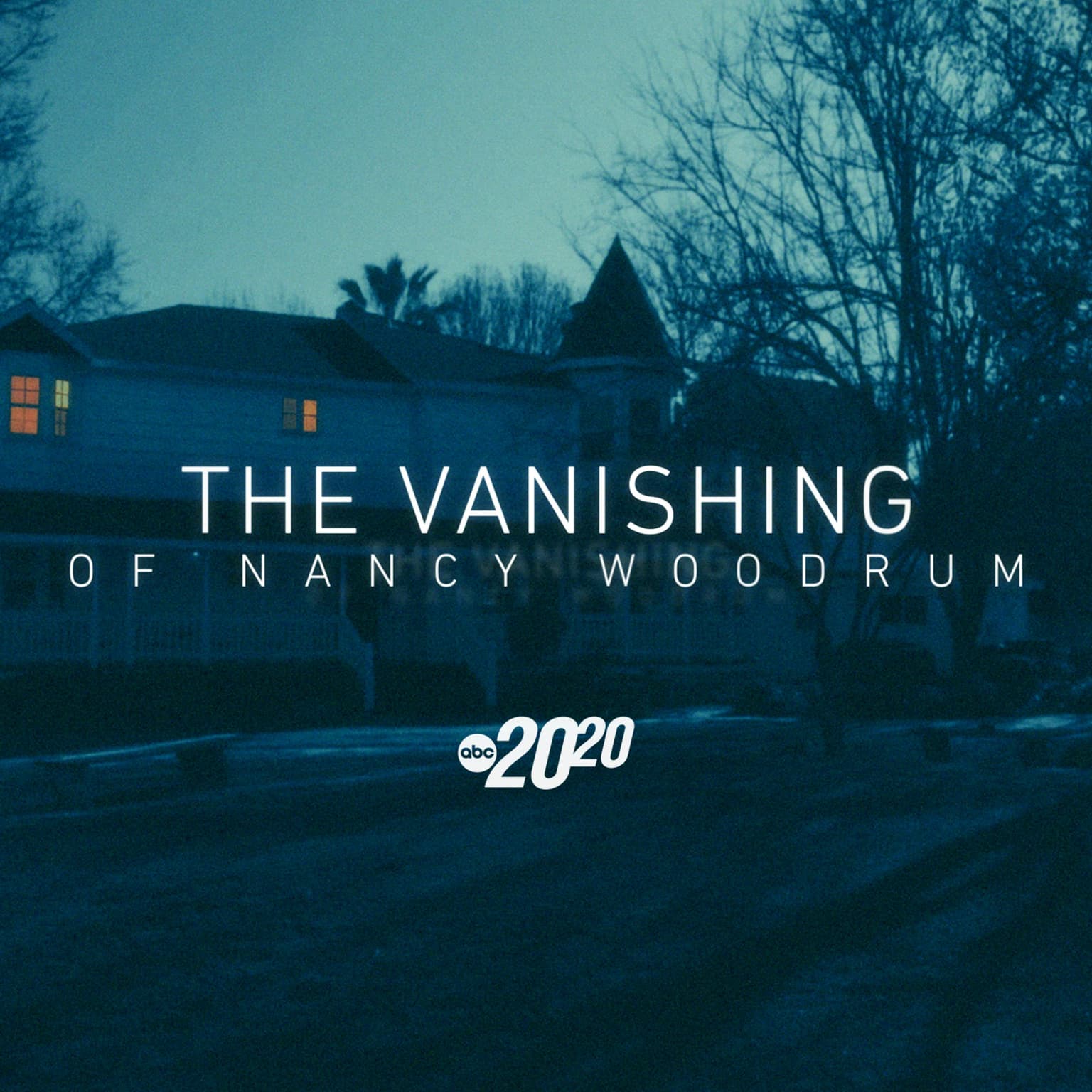 The Vanishing of Nancy Woodrum artwork