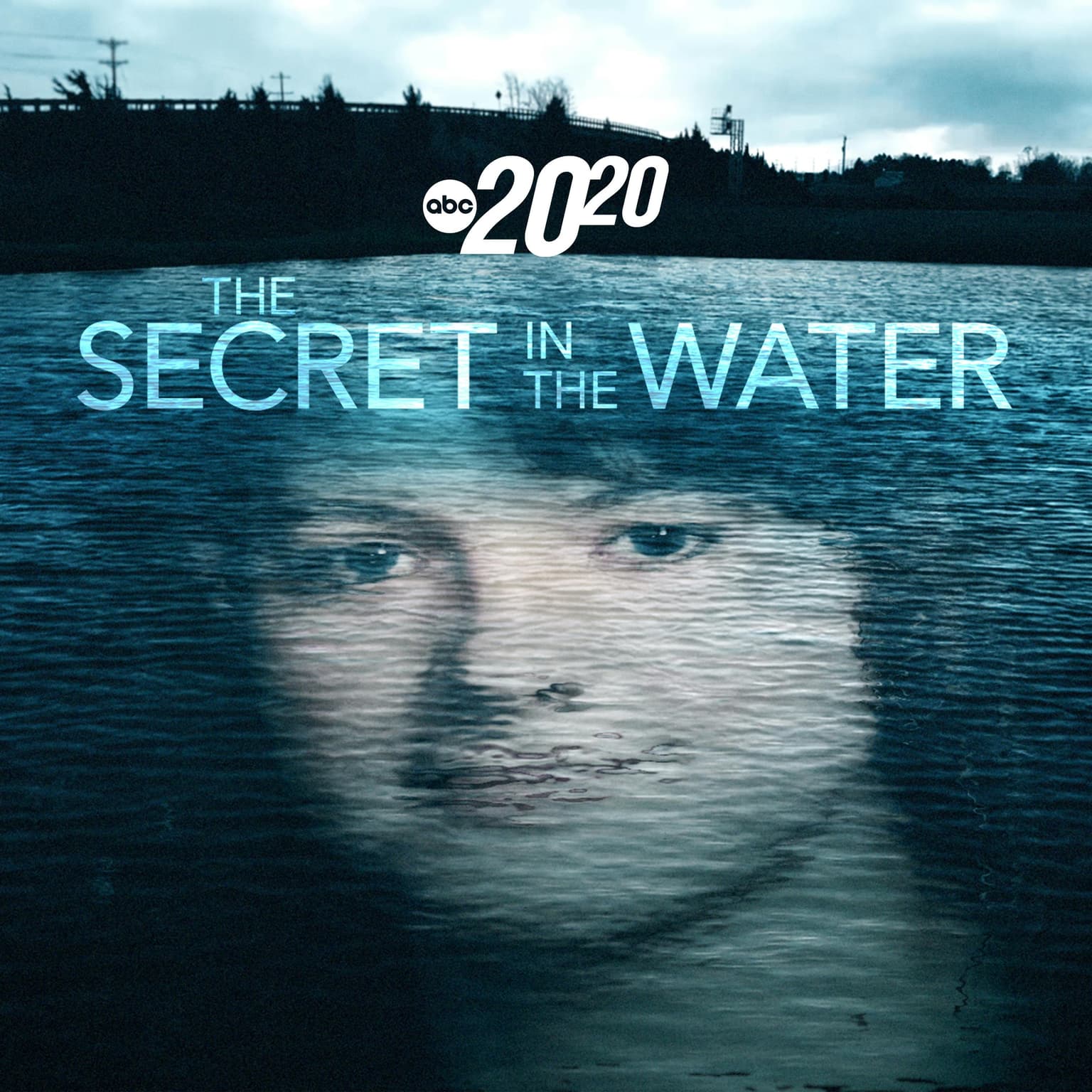 The Secret in the Water artwork