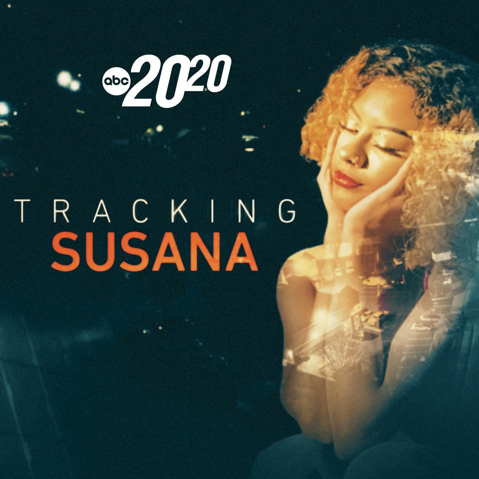 Tracking Susana artwork