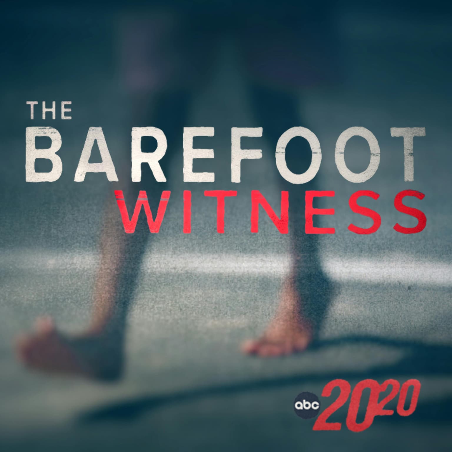 The Barefoot Witness artwork