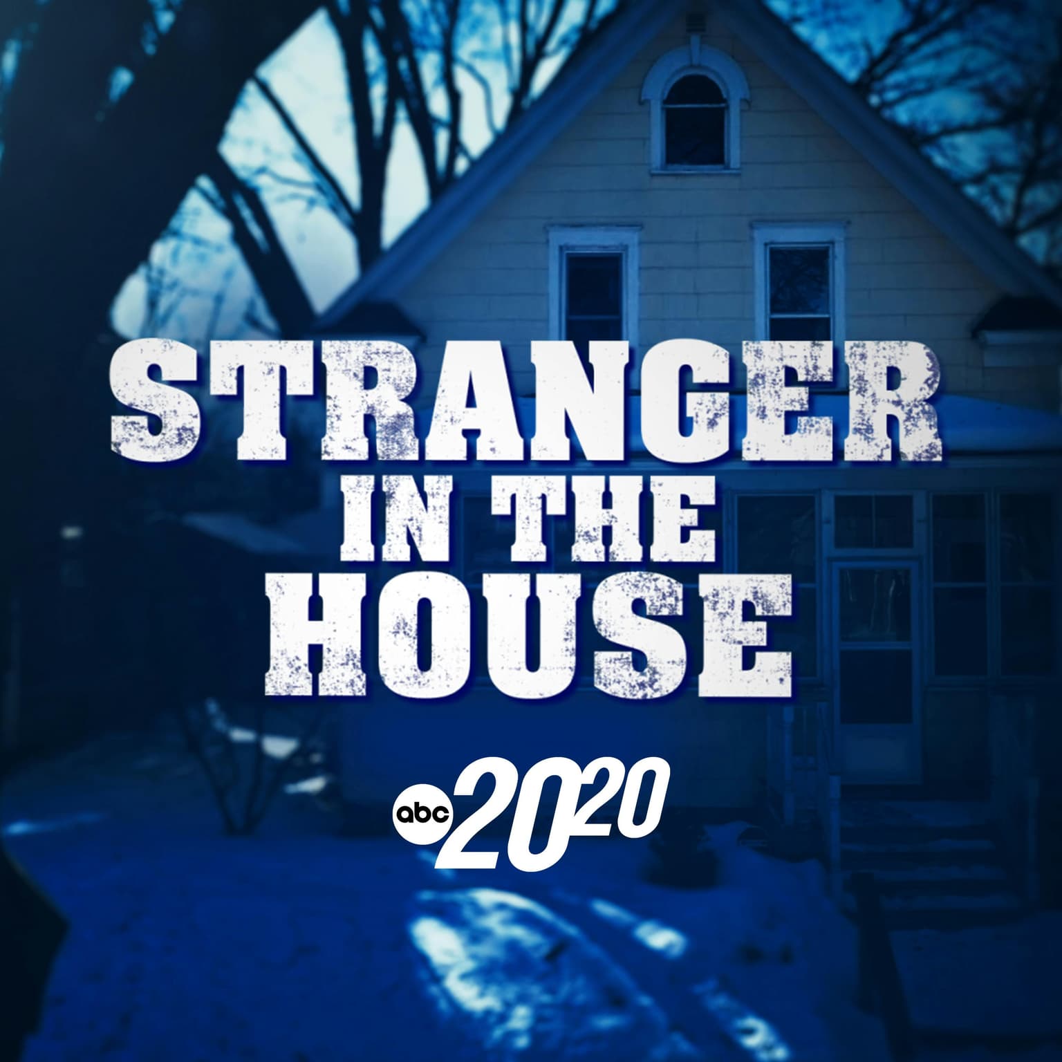 Stranger in the House artwork
