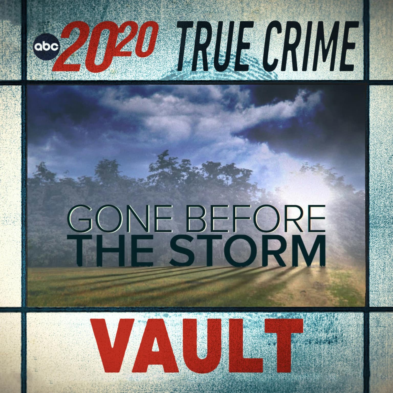 True Crime Vault: Gone Before the Storm artwork