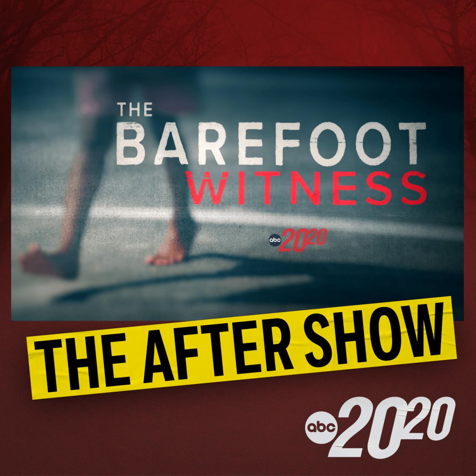 The After Show: The Barefoot Witness artwork