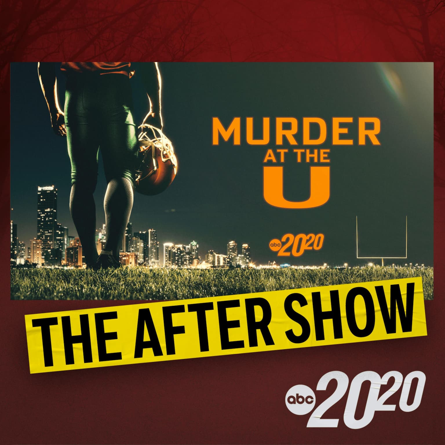 The After Show: Murder at the U artwork