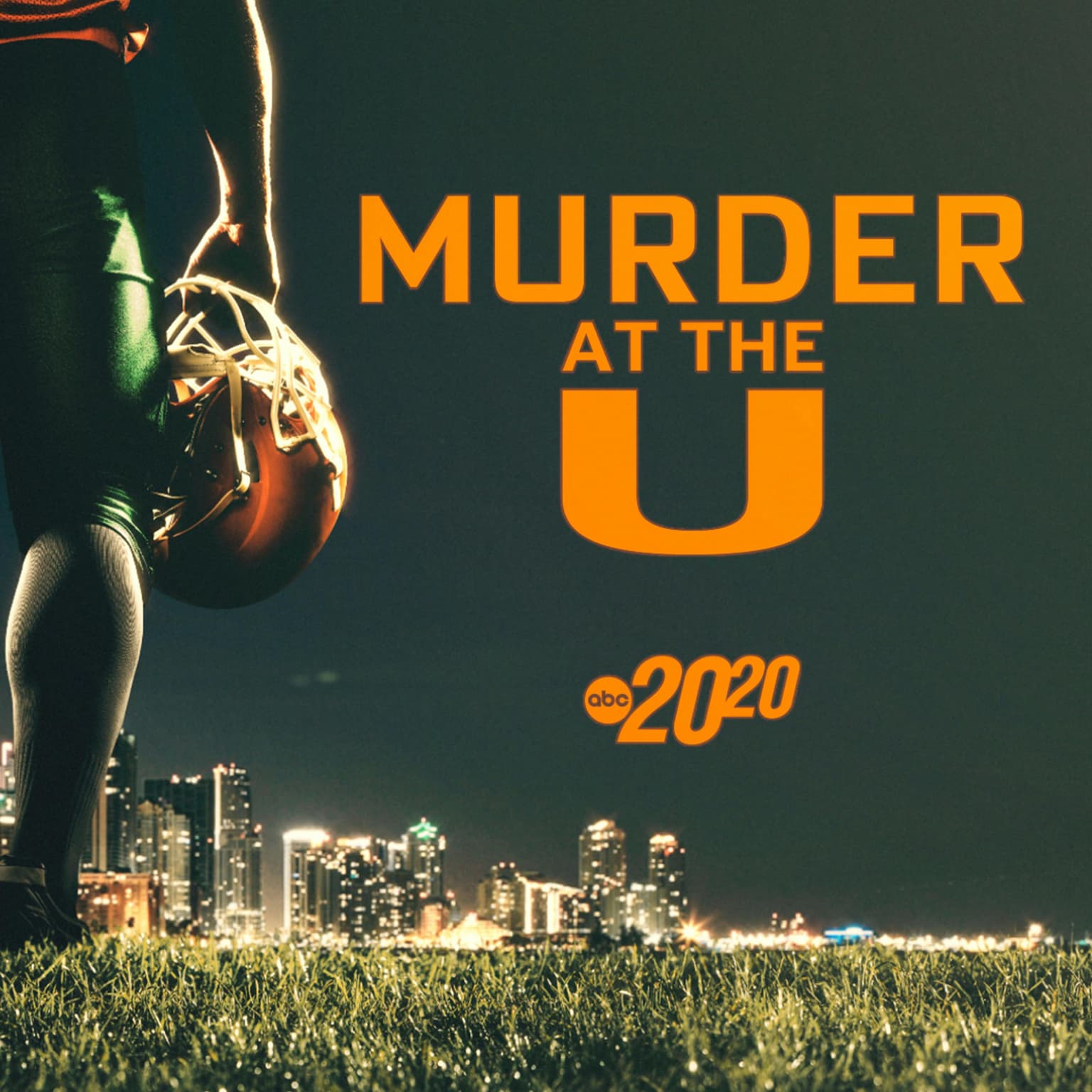 Murder at the U artwork