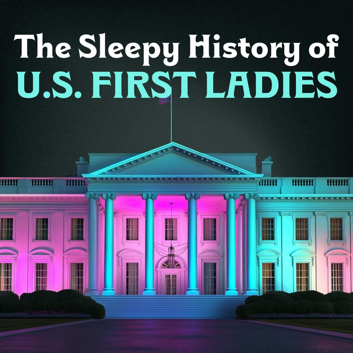 The First Ladies of the United States artwork