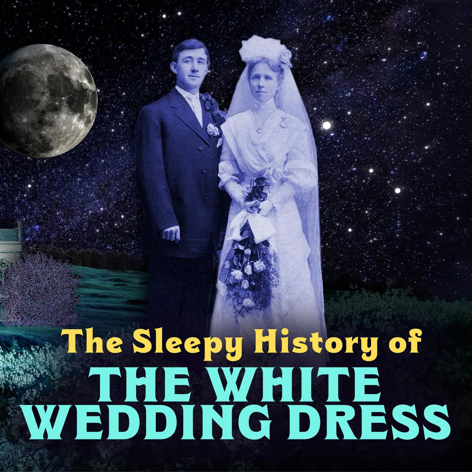 The White Wedding Dress artwork