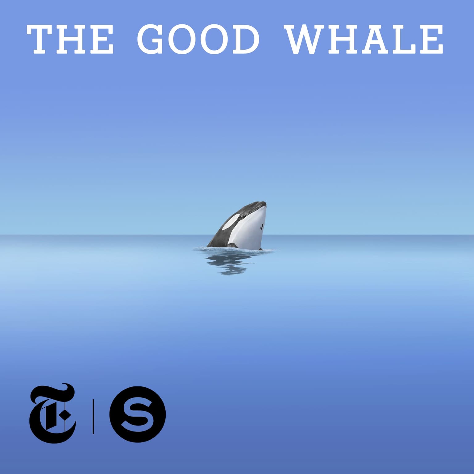 The Good Whale - Ep. 1 artwork