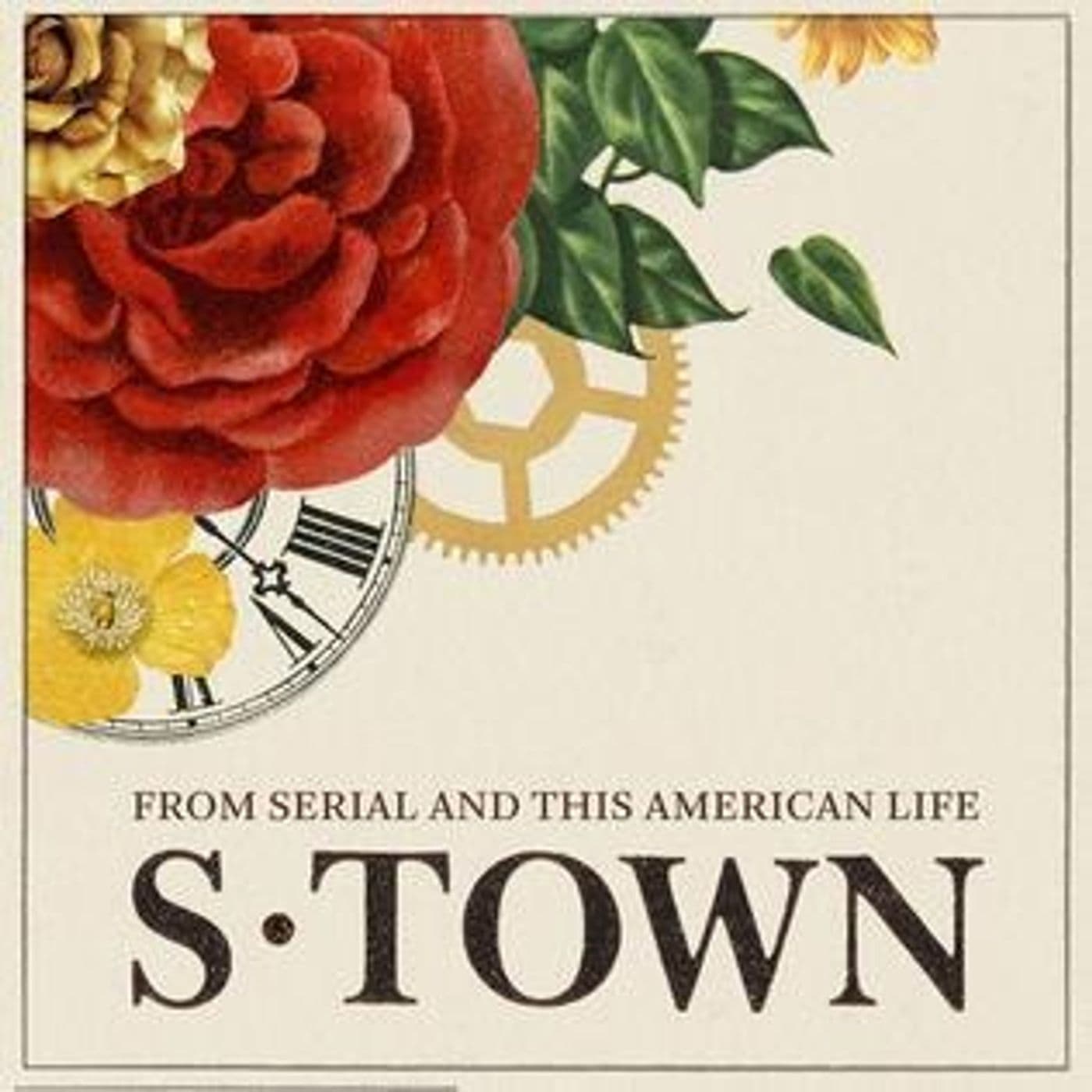 S-Town - Chapter I artwork