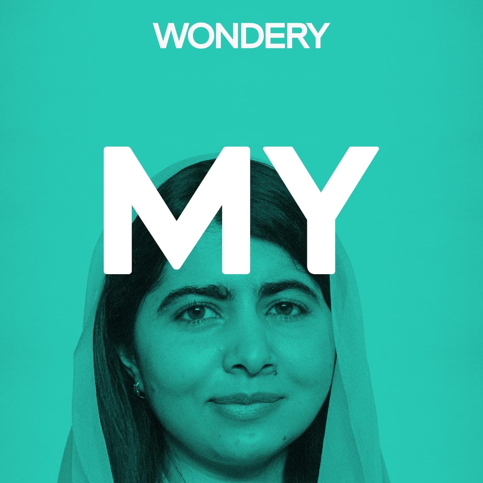 Malala Yousafzai (education activist) artwork