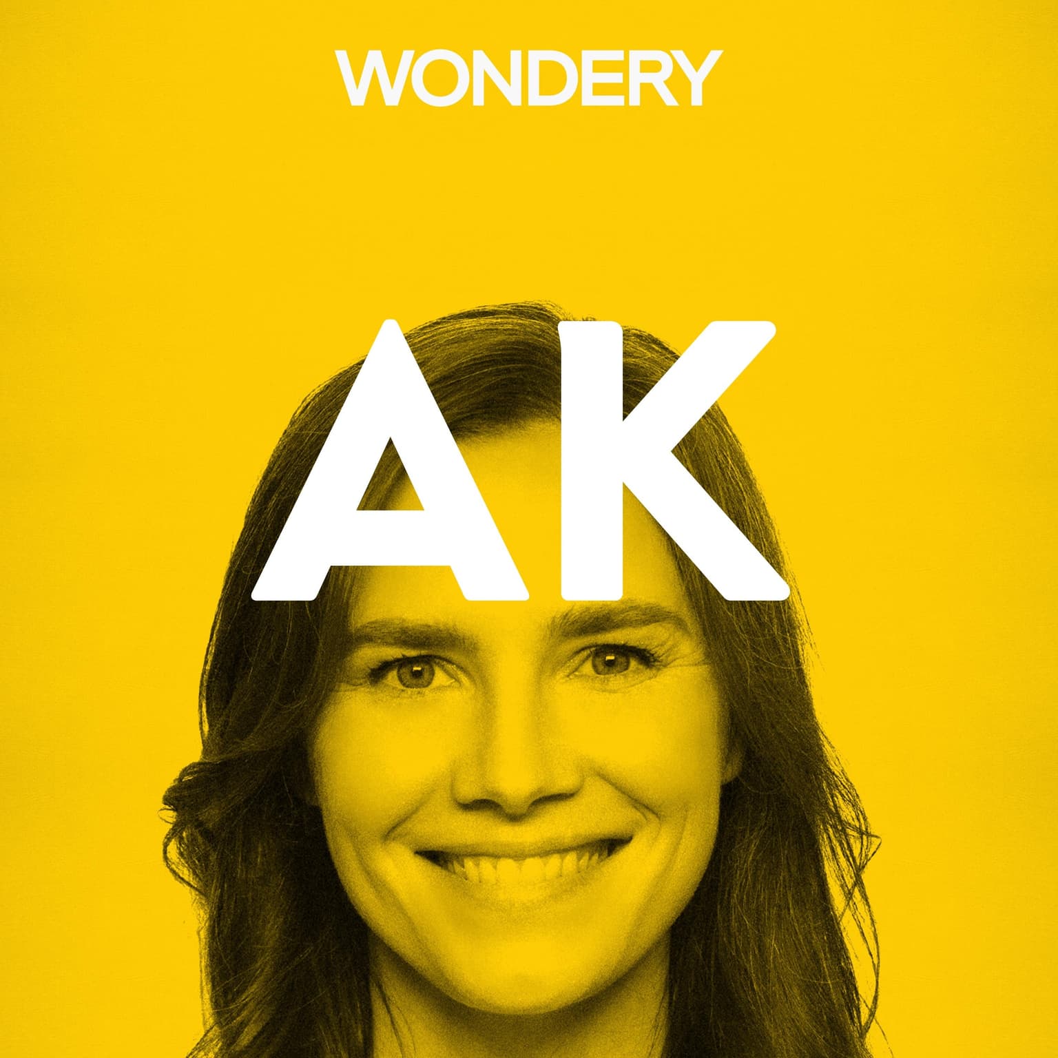 Amanda Knox artwork