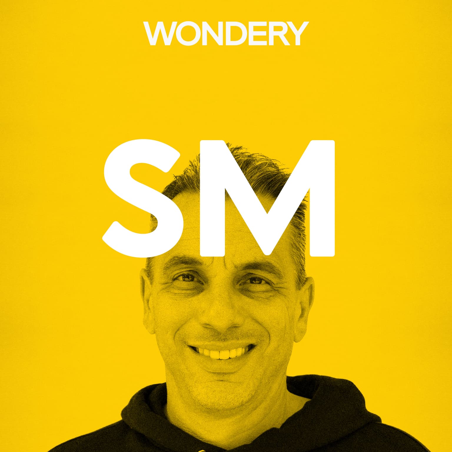 Sebastian Maniscalco artwork