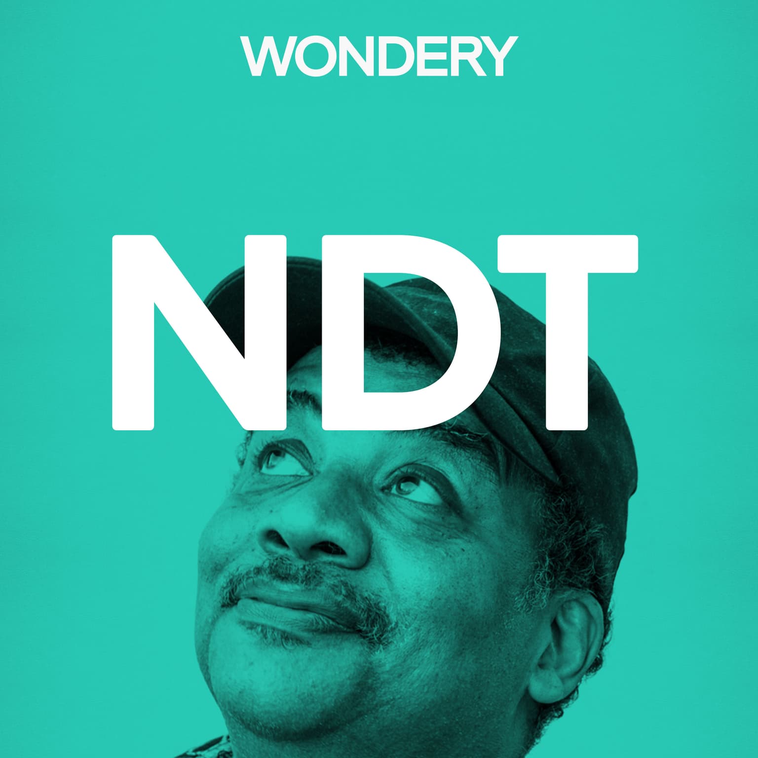 Neil deGrasse Tyson (astrophysicist) artwork