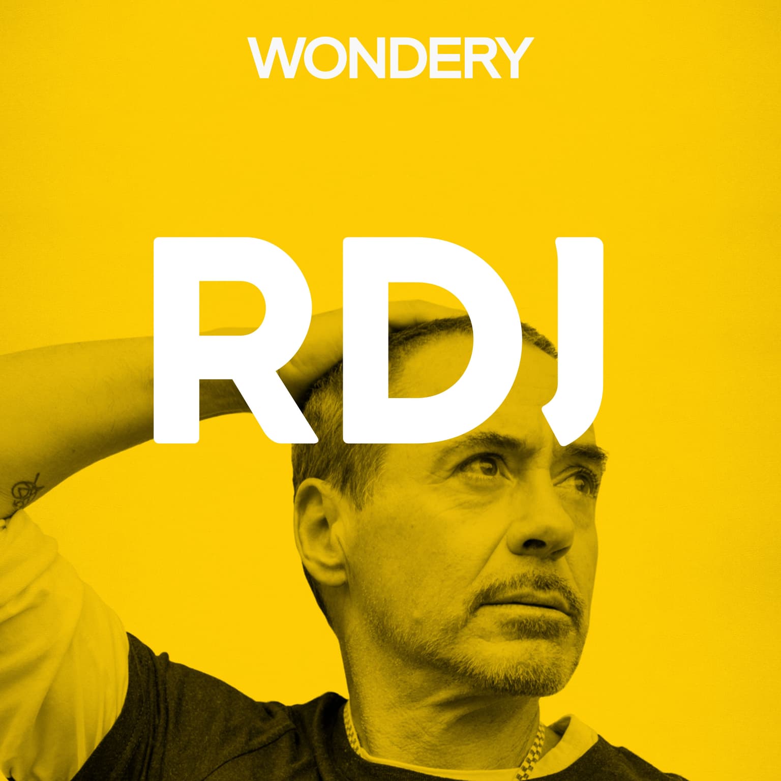 Robert Downey Jr. artwork