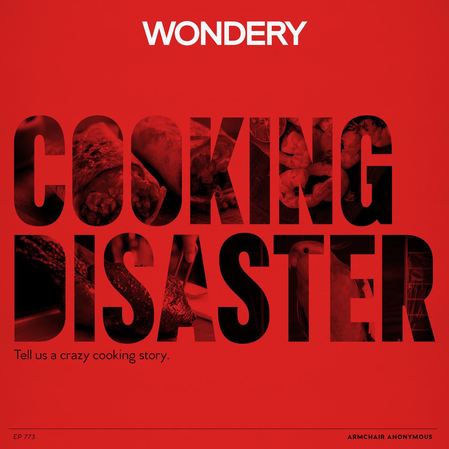 Armchair Anonymous: Cooking Disaster artwork