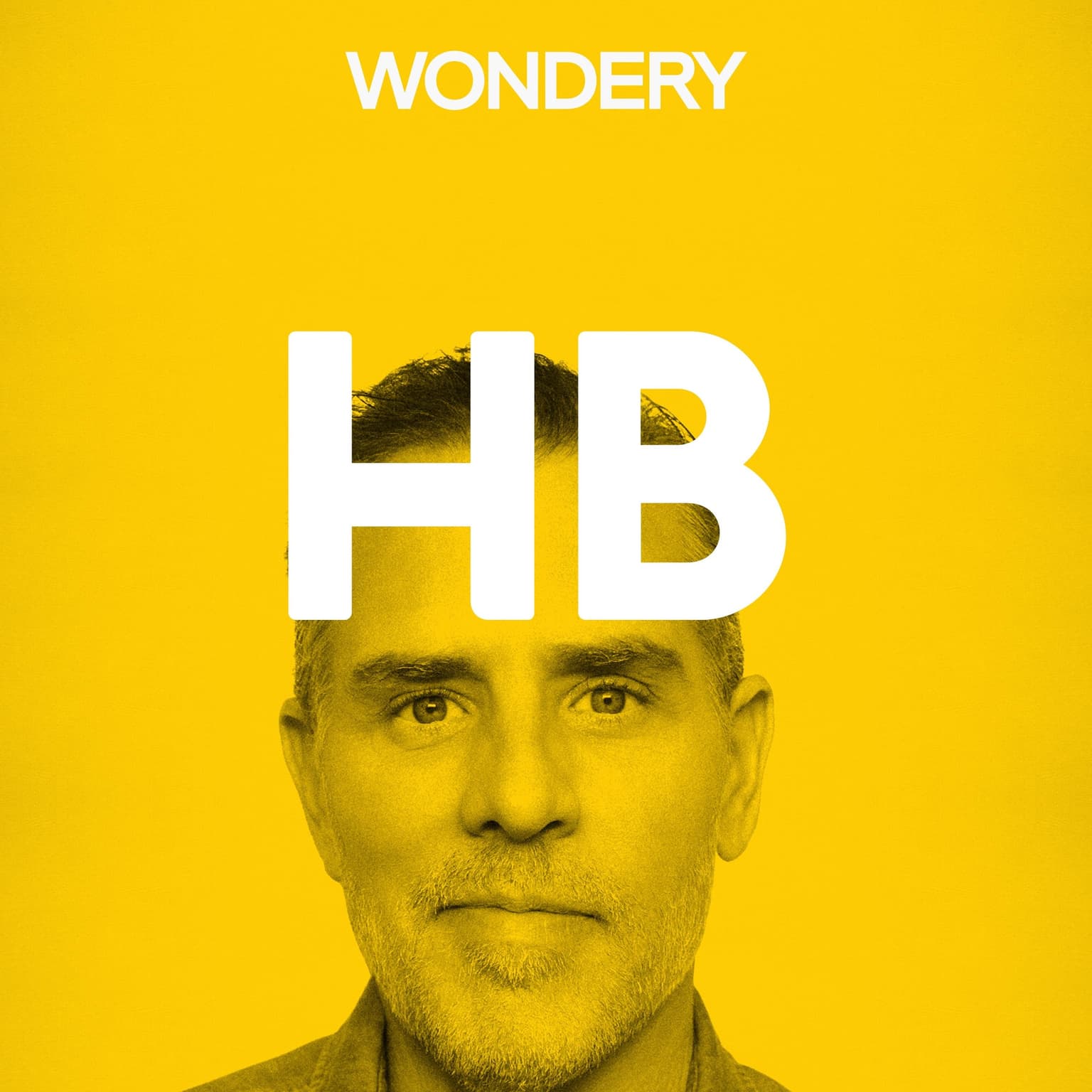 Hunter Biden artwork