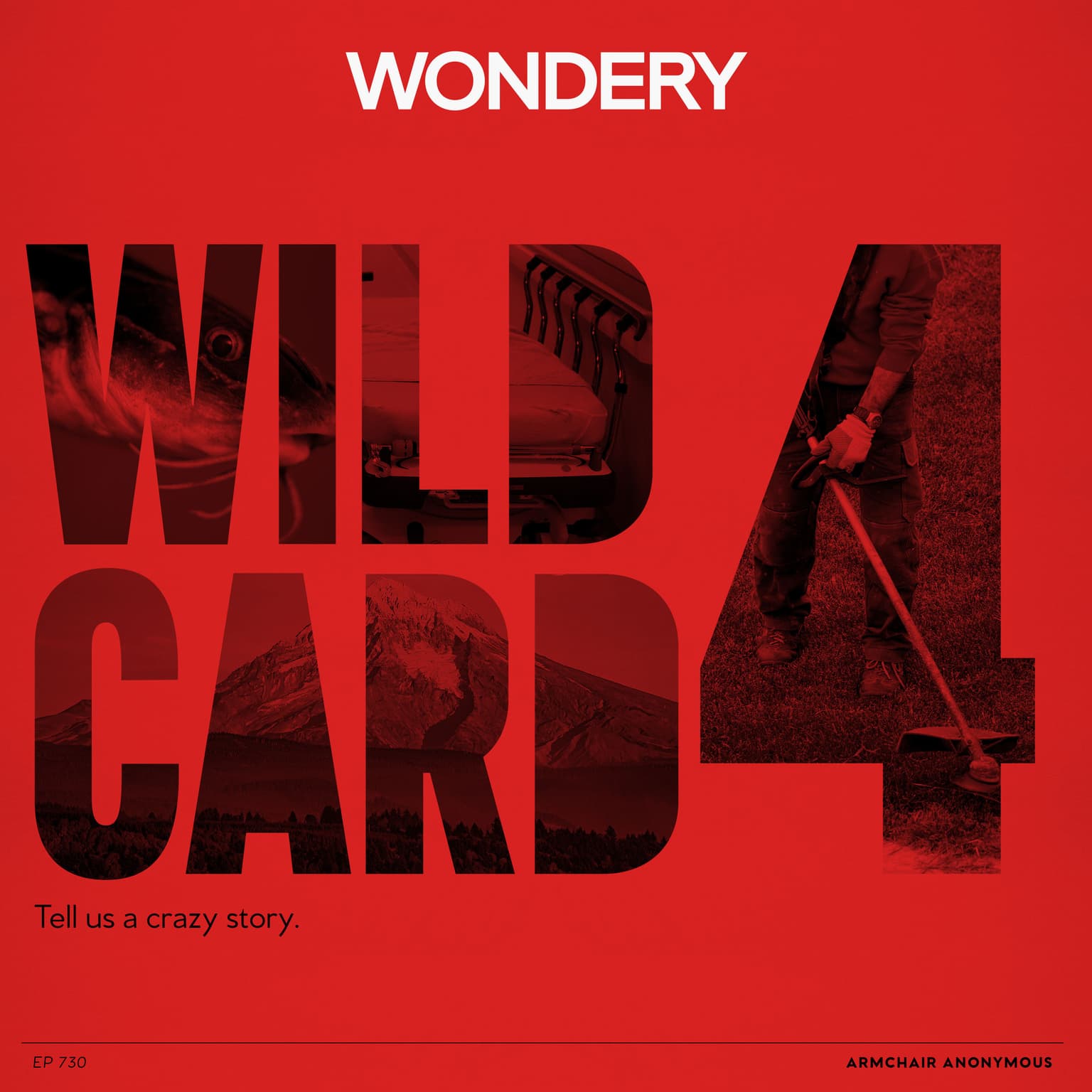 Armchair Anonymous: Wild Card IV artwork