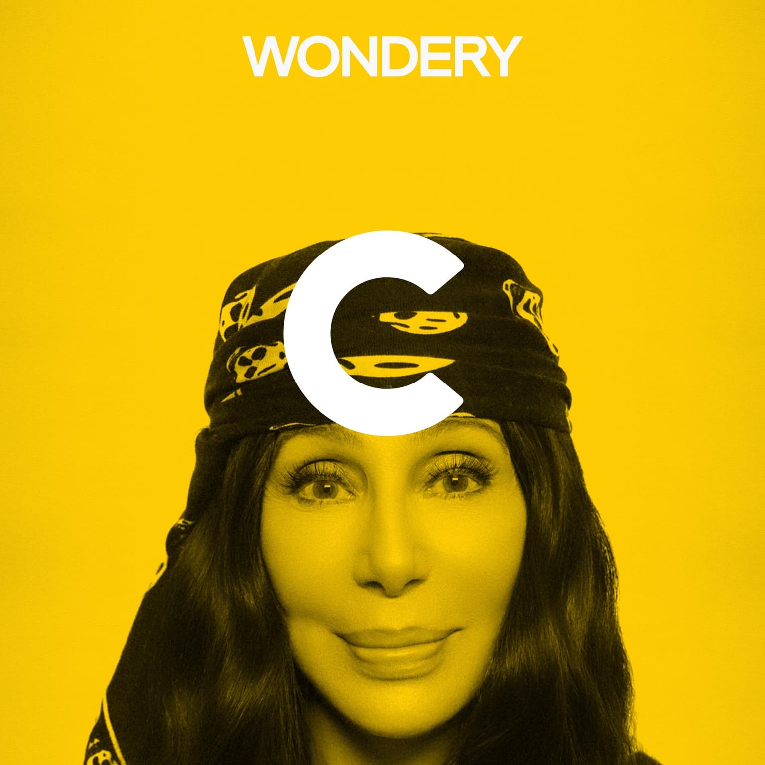 Cher artwork