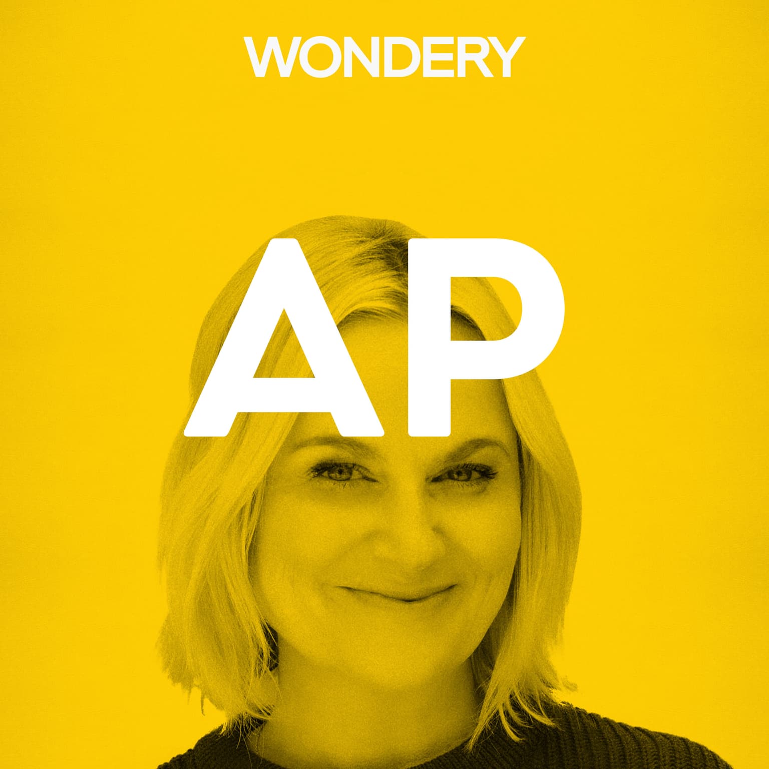 Amy Poehler Returns artwork