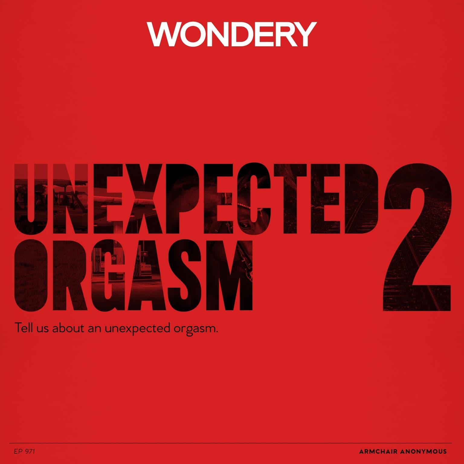 Armchair Anonymous: Unexpected Orgasm II artwork