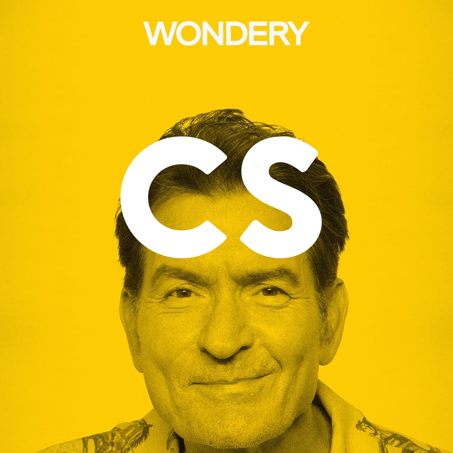 Charlie Sheen artwork