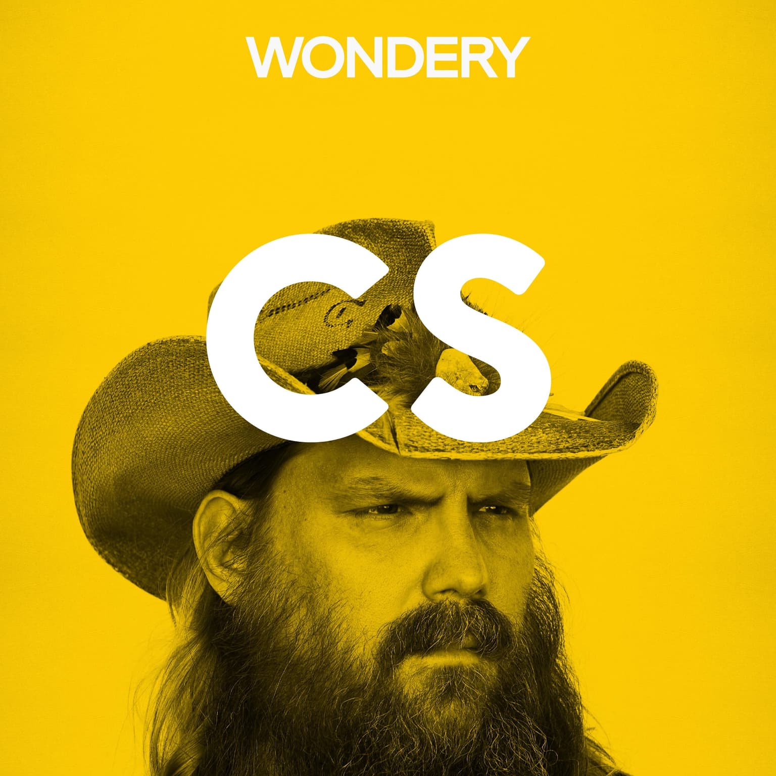 Chris Stapleton artwork