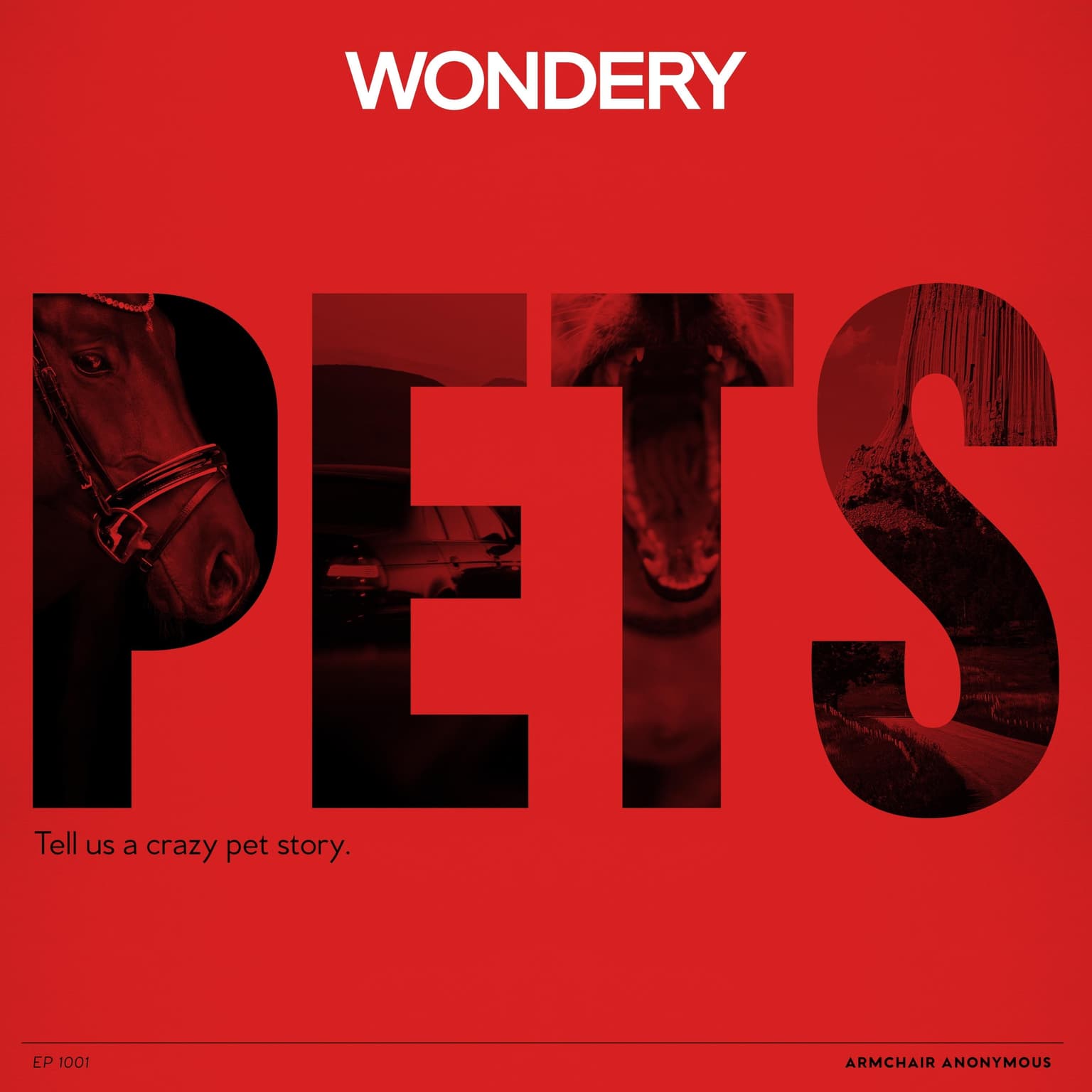 Armchair Anonymous: Pets artwork
