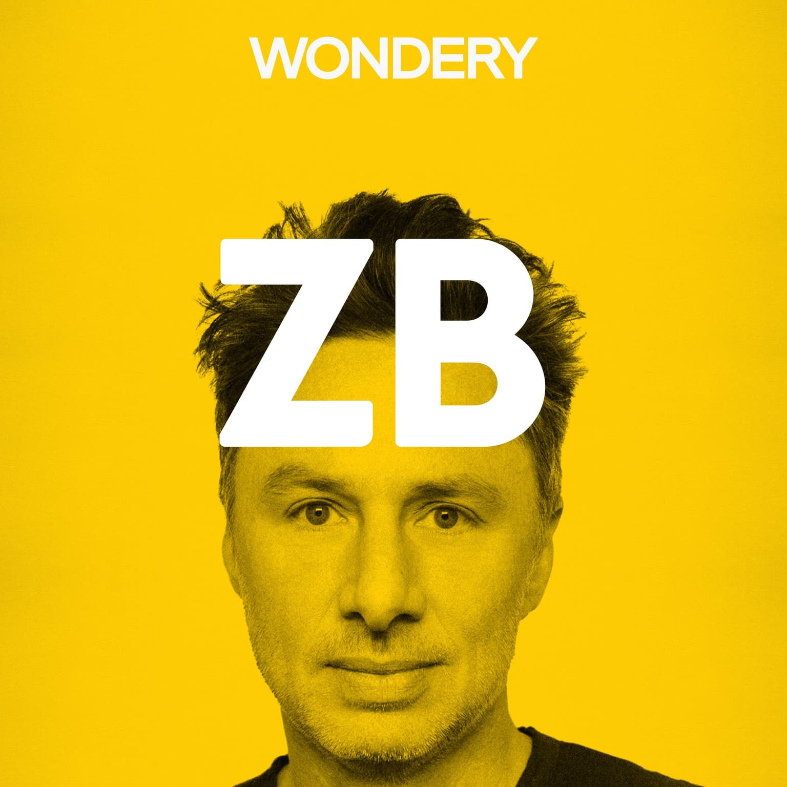 Zach Braff Returns artwork