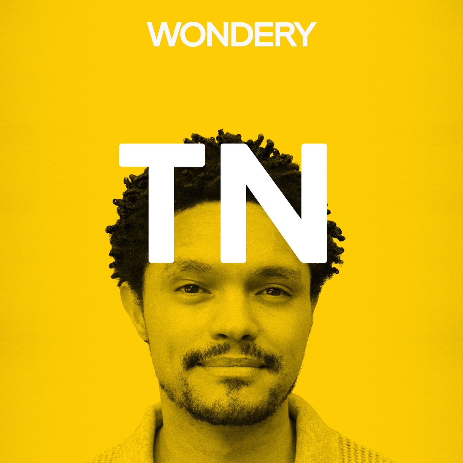 Trevor Noah artwork