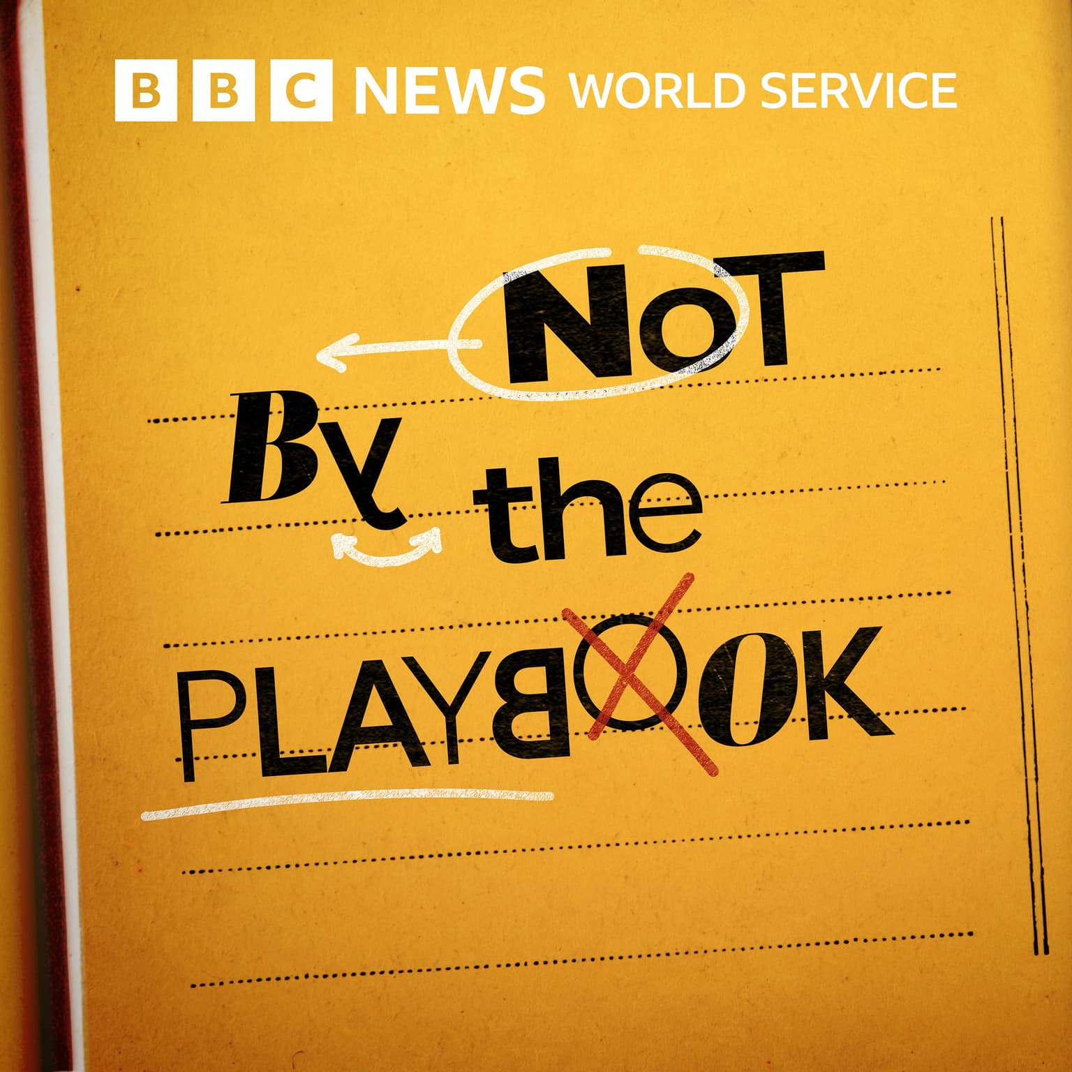 Introducing: Not By The Playbook - Why it is never too late artwork