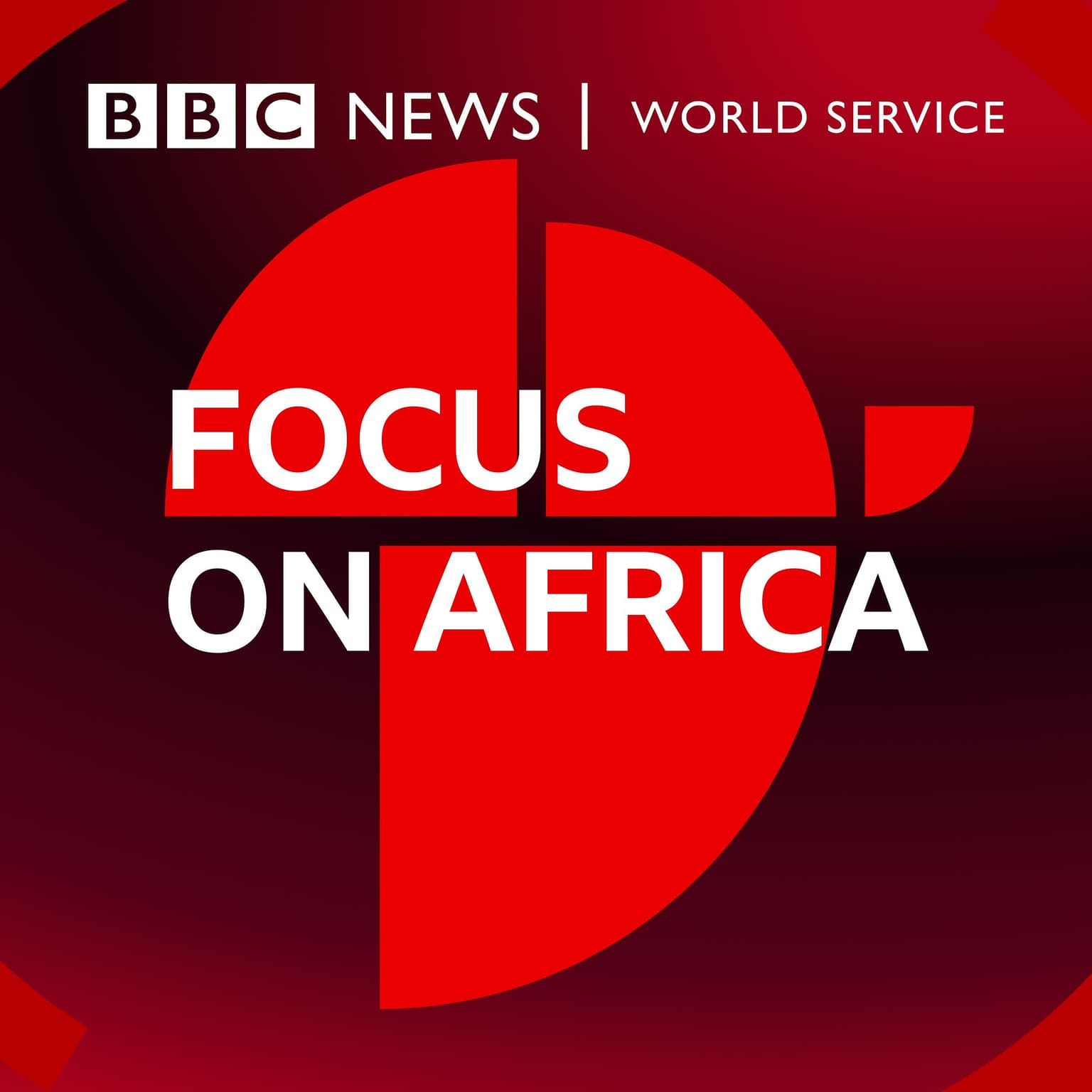 Introducing: Focus on Africa - Electric vehicles: fixing Africa's fuel crisis? artwork
