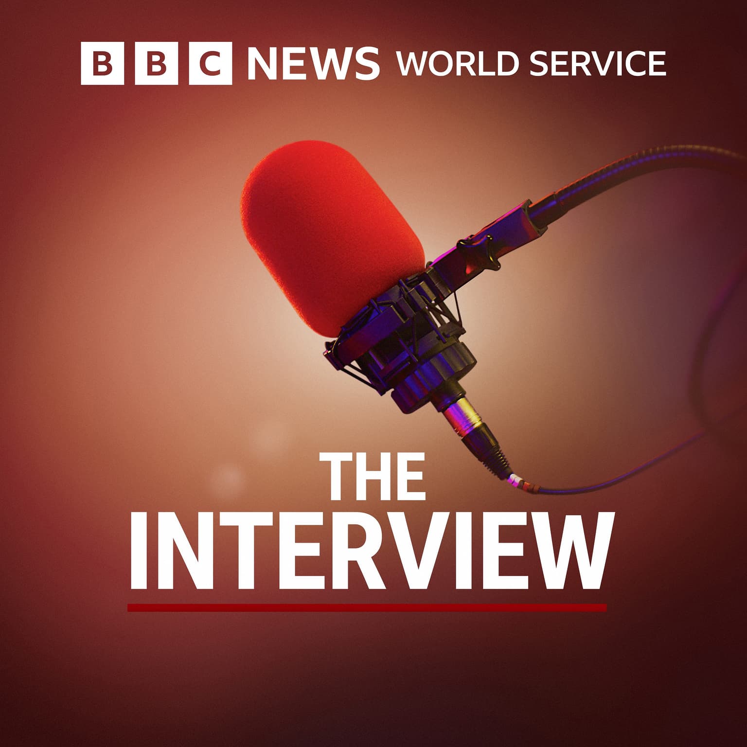 Bonus: 2025 in conversations from The Interview artwork