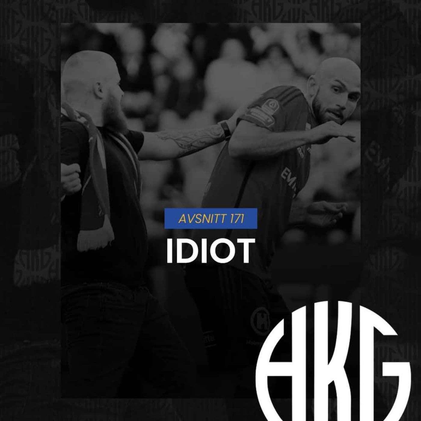 171 - Idiot! artwork
