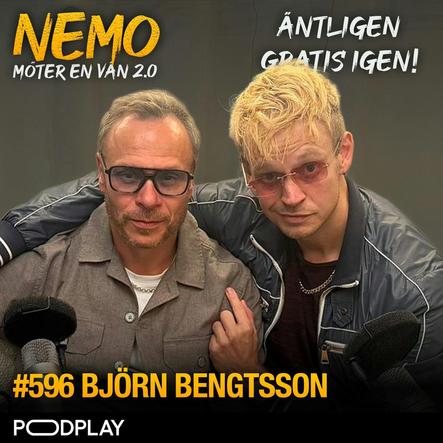 596. Björn Bengtsson - Hundarna artwork