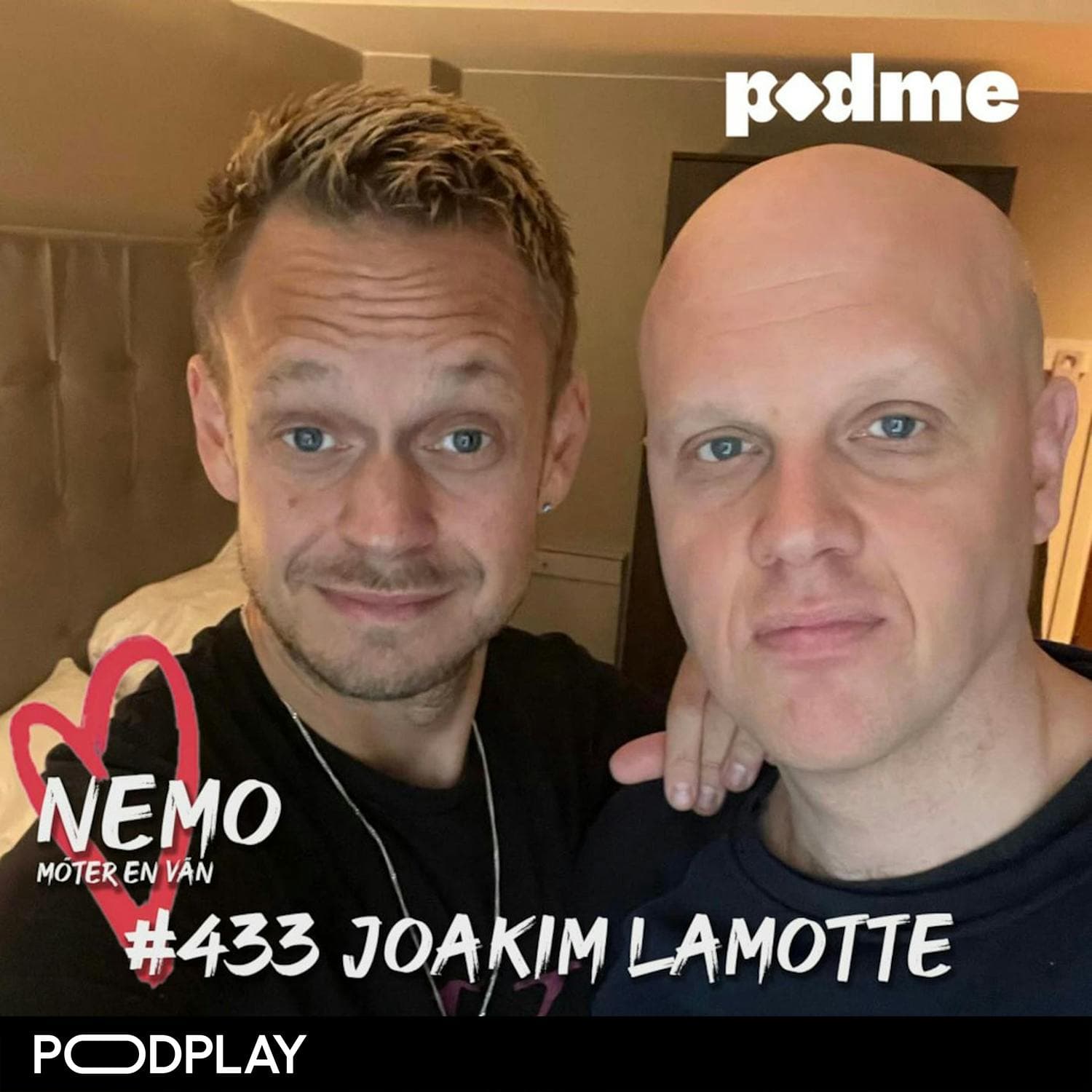 433. Joakim Lamotte artwork