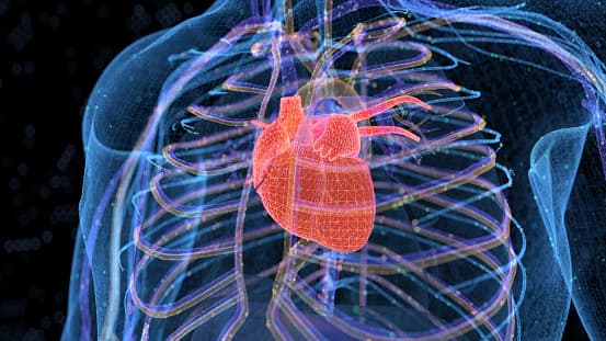 Developments in heart transplants; Achilles tendon rupture intel; and cardiomyopathy in meth users artwork