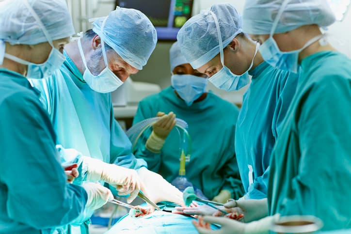 Chimeras in medicine: xenotransplantation artwork