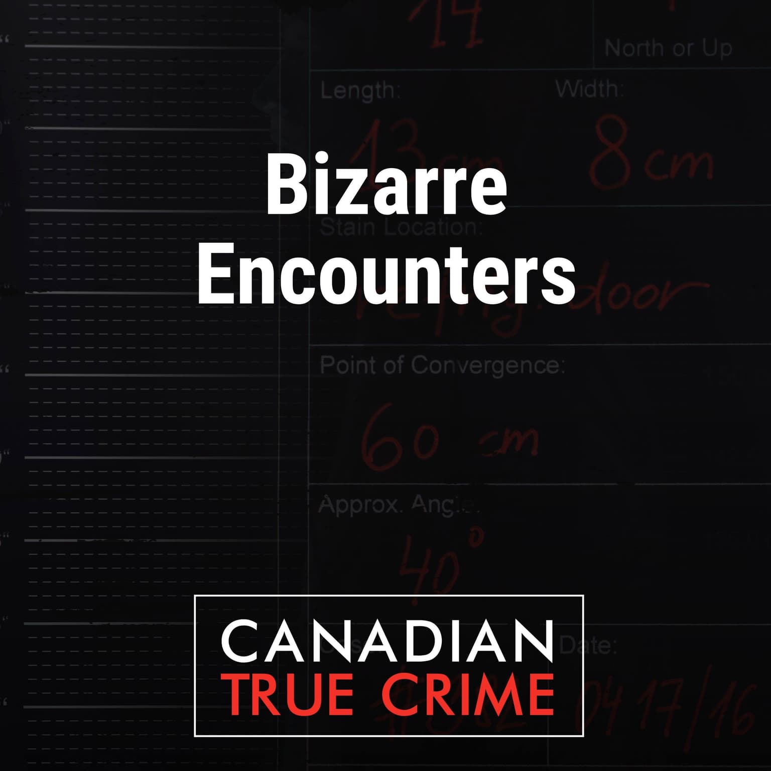 Bizarre Encounters artwork