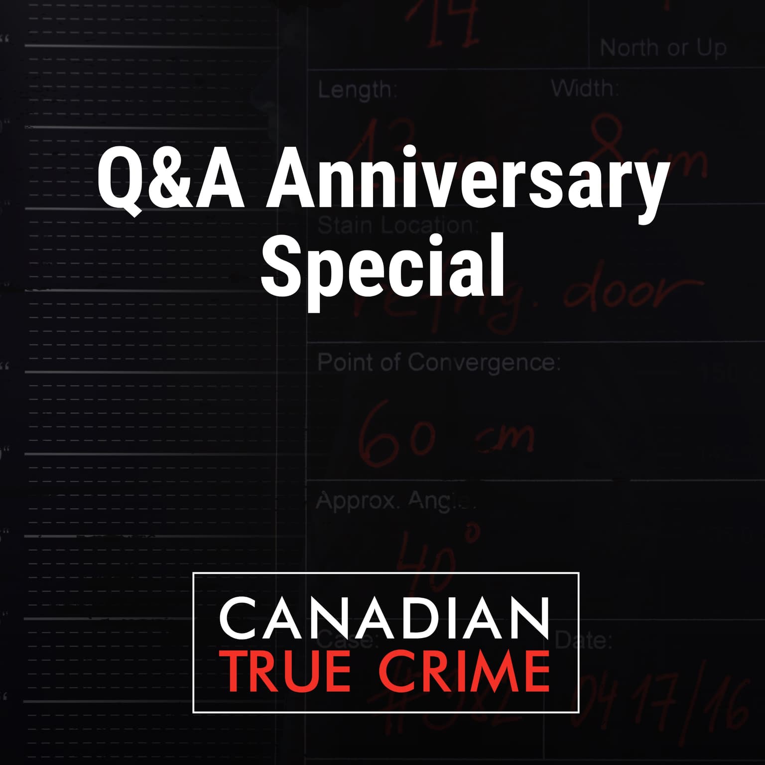 Q&A Anniversary Special! artwork