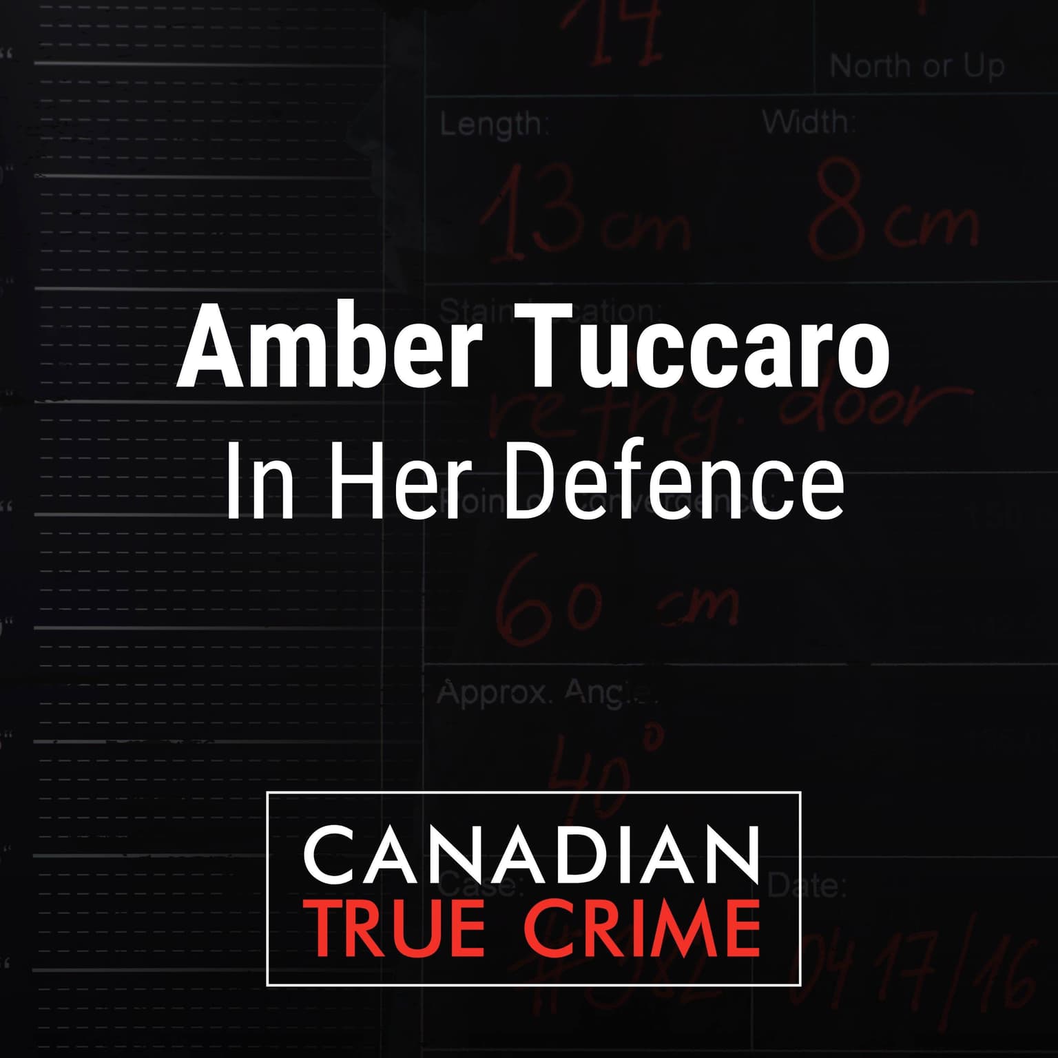 Amber Tuccaro: In Her Defence artwork
