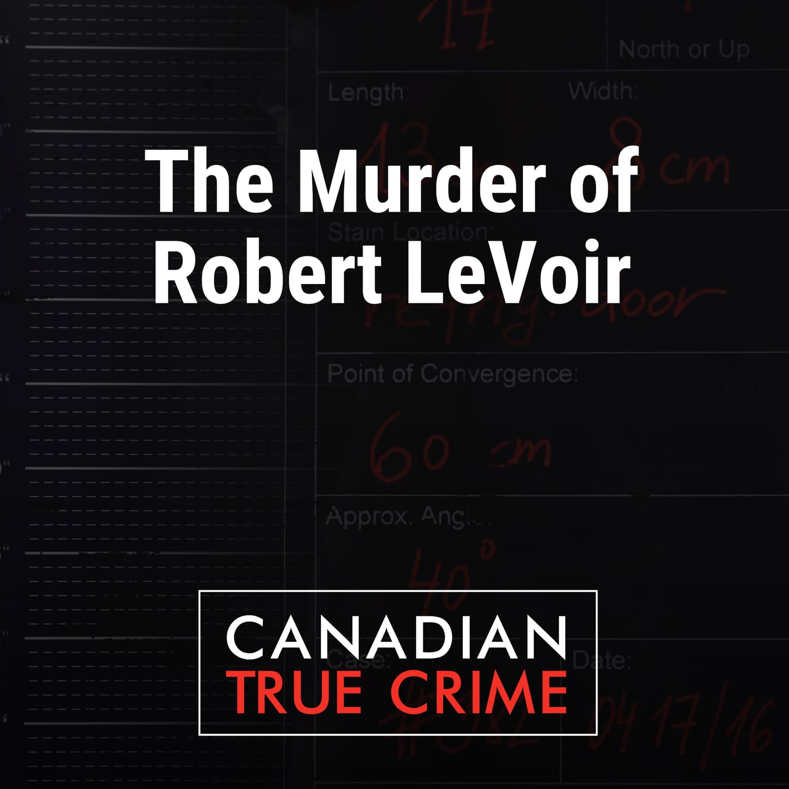The Murder of Robert LeVoir artwork