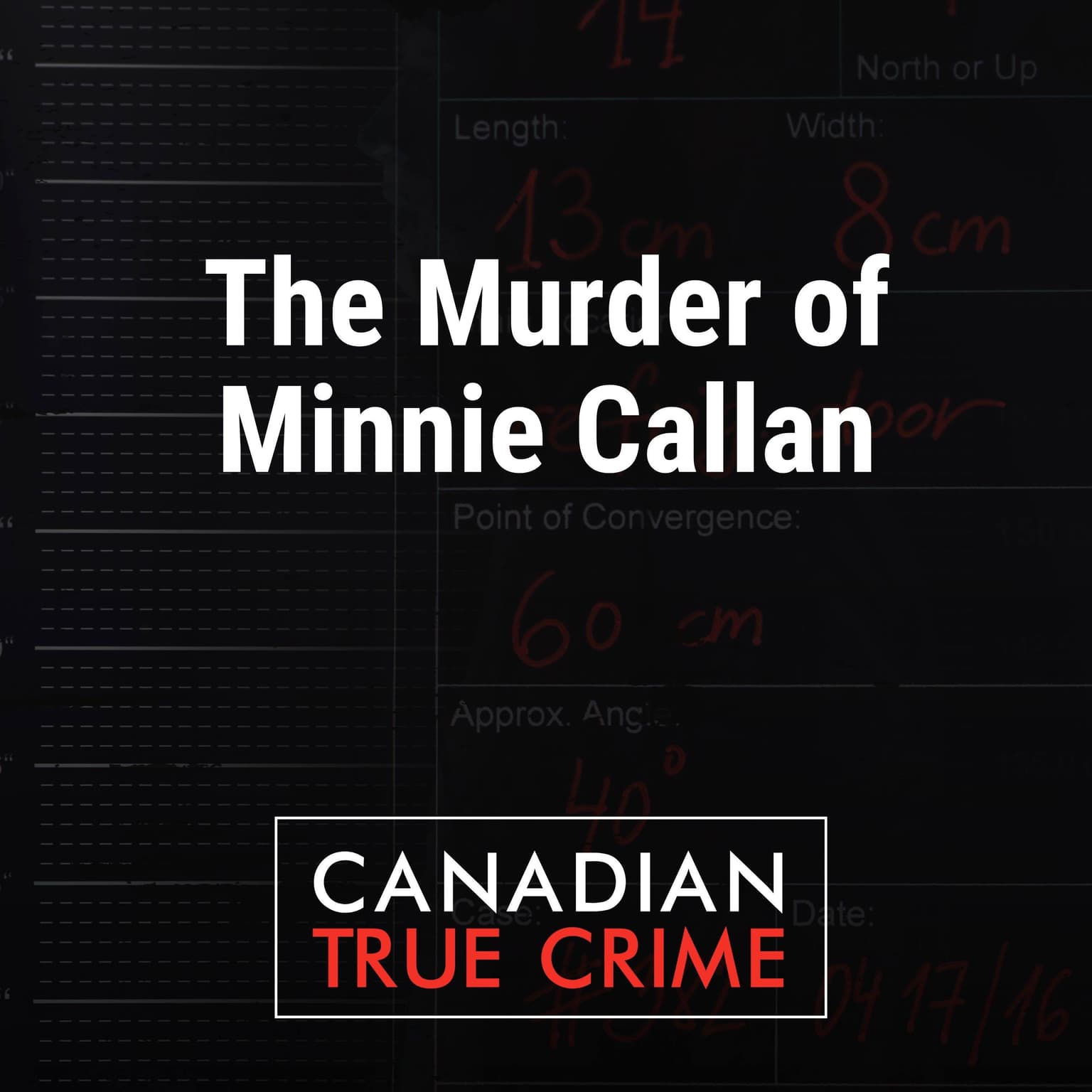 The Murder of Minnie Callan artwork