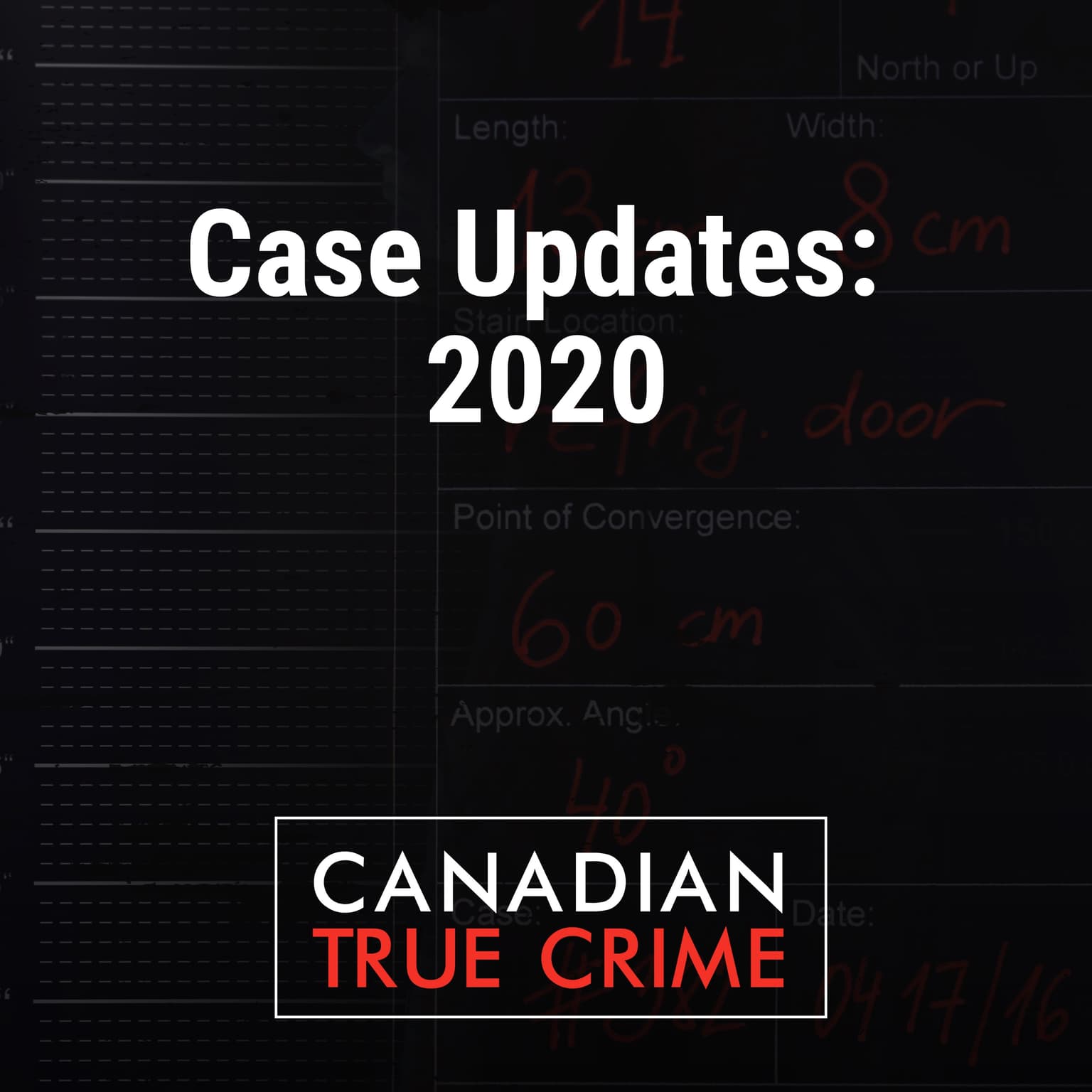 Case Updates: 2020 artwork