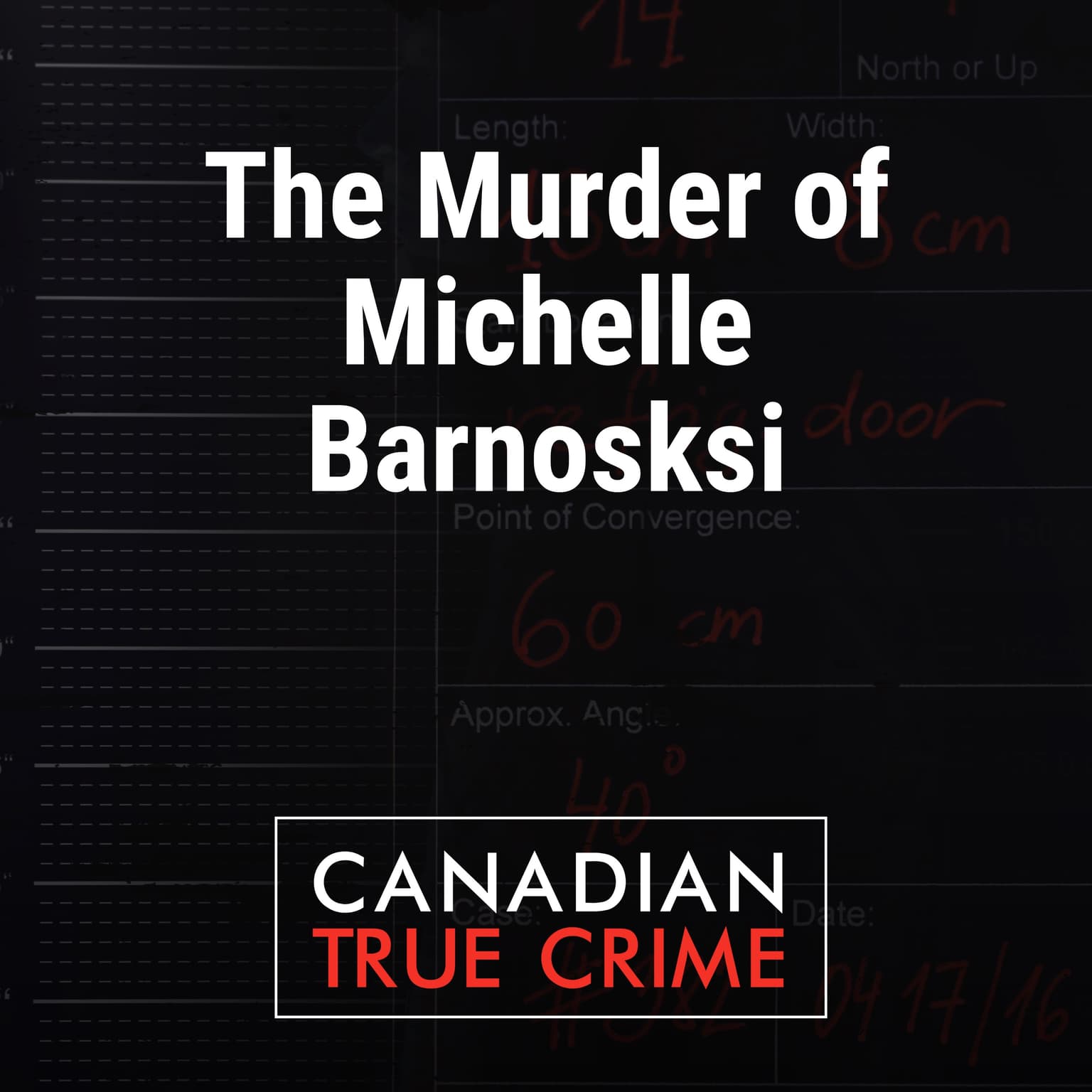 The Murder of Michelle Barnoski artwork
